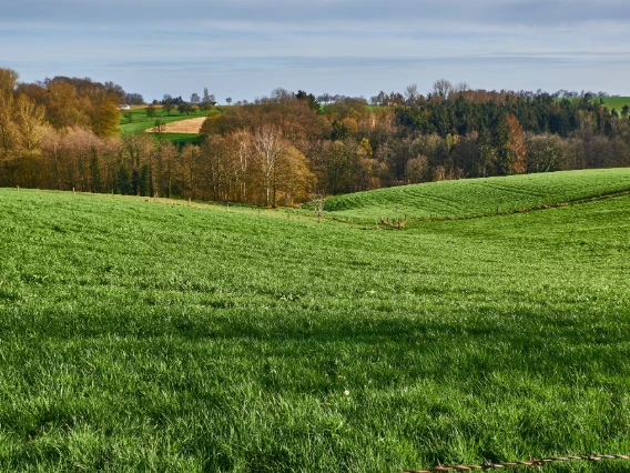 Pflegeberatung in Lohmar