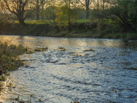 Pflegeberatung in Sankt Augustin